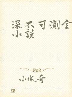 深不可测金银花小说