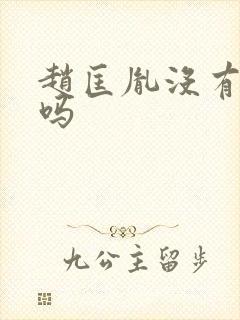 赵匡胤没有后代吗封面