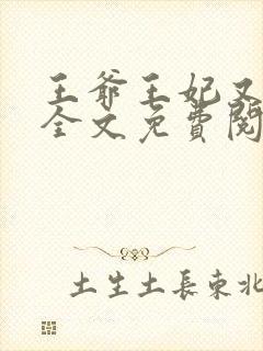 王爷王妃又跑了全文免费阅读封面