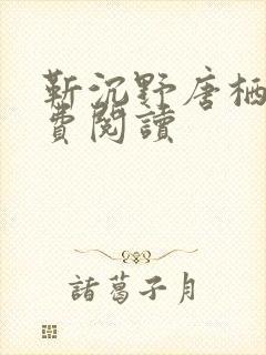 靳沉野唐栖雾免费阅读