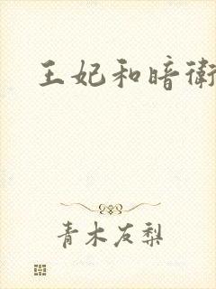 王妃和暗卫野H封面