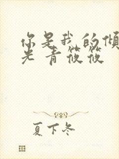 你是我的倾城时光 青筱筱