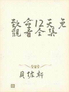 致命12天免费观看全集