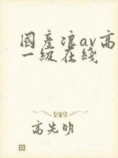 国产浪av高清一级在线
