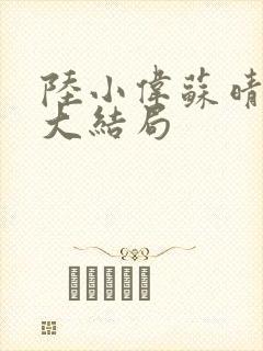 陆小伟苏晴小说大结局