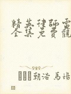 精英律师电视剧全集免费观看完整版