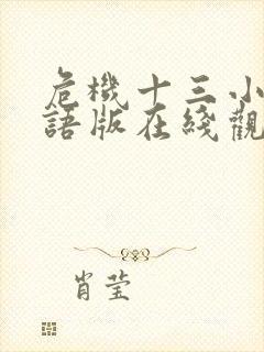 危机十三小时国语版在线观看高清