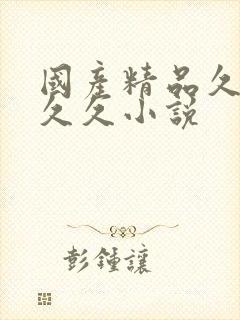 国产精品久久久久久小说