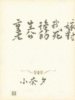 重生后我嫁给了老公的死对头 短剧