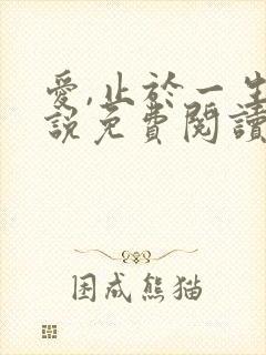 爱,止于一生小说免费阅读第6章