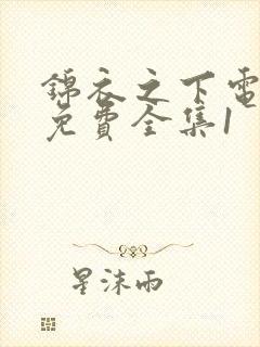 锦衣之下电视剧免费全集1封面