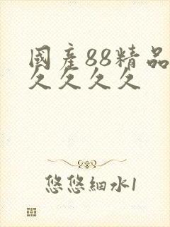 国产88精品久久久久久