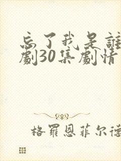 忘了我是谁电视剧30集剧情封面