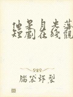 他是月光落我心短剧在线观看封面