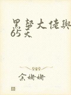 黑帮大佬与我365天