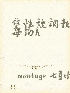 双性被调教成小母狗h