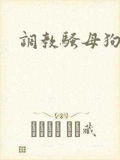 调教骚母狗女女
