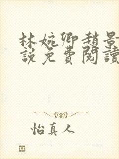 林婉卿赵景玄小说免费阅读最新章节