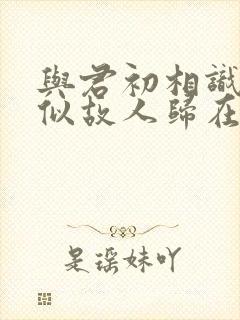 与君初相识,恰似故人归在线观看