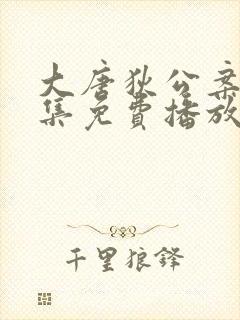 大唐狄公案48集免费播放电视剧