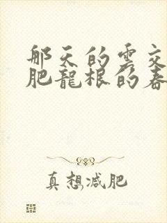 那天的云交雨合肥龙根的春天