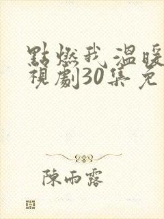点燃我温暖你电视剧30集免费观看