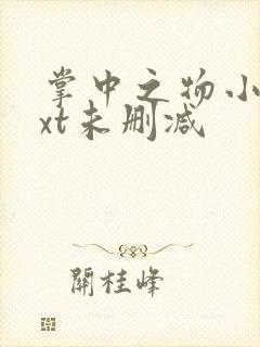 掌中之物小说txt未删减封面