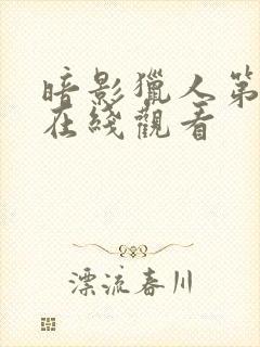 暗影猎人第二季在线观看