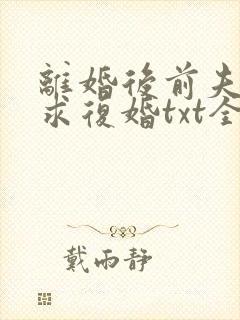 离婚后前夫哭着求复婚txt全本封面