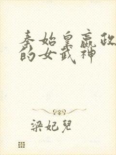 秦始皇嬴政终末的女武神