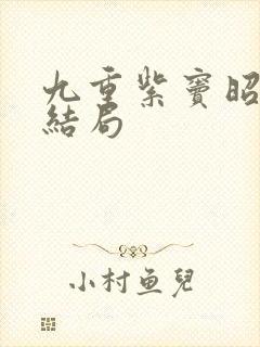 九重紫窦昭父亲结局