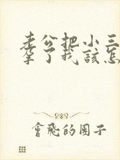 老公把小三搞怀孕了我该怎么办