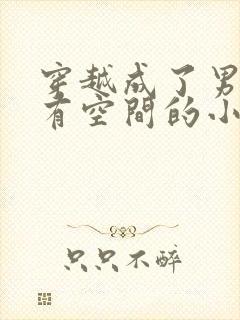 穿越成了男知青有空间的小说