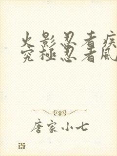 火影忍者疾风传究极忍者风暴4