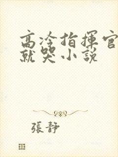 高冷指挥官一亲就哭小说