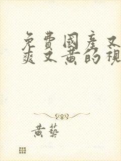 免费国产又色又爽又黄的视频