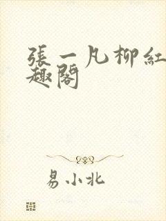 张一凡柳红 笔趣阁封面