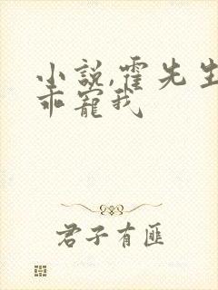 小说,霍先生乖乖宠我