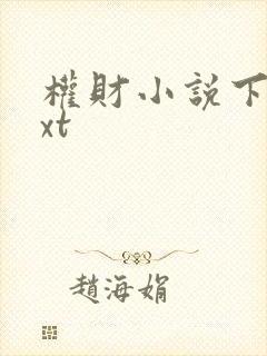 权财小说下载txt封面