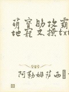 萌宝助攻霸道爹地宠又撩txt