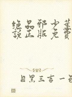 绝品邪少叶潇小说正版免费