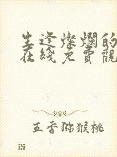 生逢灿烂的日子在线免费观看全集