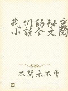我们的秘密原著小说全文阅读封面