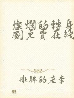 灿烂的转身电视剧免费在线观看