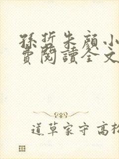 孙哲朱颜小说免费阅读全文最新章节