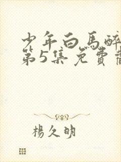 少年白马醉春风第5集免费观看封面