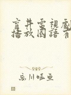 盲井电视剧免费播放国语有字