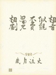 相思不似相逢短剧免费观看全集封面