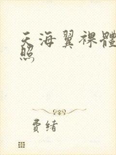 天海翼裸体写真照封面