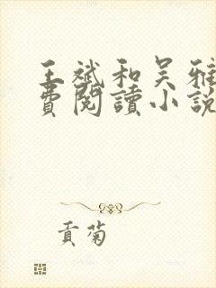 王斌和吴雅婷免费阅读小说封面